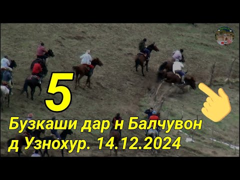 Видео: Бузкаши дар н Балчувон д Узнохур кисми 5.  14.12.2024