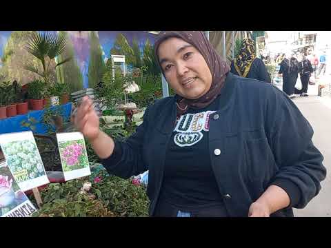 Видео: 6 ОКТЯБРЬ ОБУНАЧИЛАРИМ БИЛАН УЧРАШДИМ❤️🩷🧡❤️🩷🧡❤️🩷🧡❤️🩷🧡❤️🩷