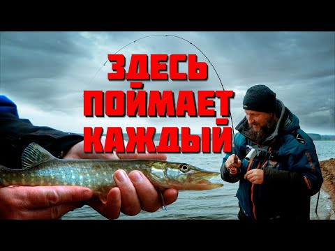 Видео: ВОТ ЭТО ПОВОРОТ! ЕМУ БОЛЬШЕ НЕ НУЖЕН ФИДЕР! ОСЕНЬ - ВРЕМЯ ЭКСПЕРИМЕНТОВ.