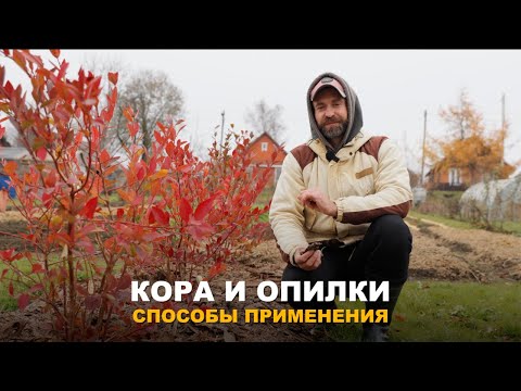 Видео: МУЛЬЧИРОВАНИЕ САДА И ОГОРОДА. Применение опилок, коры и  щепы в мульчировании сада и огорода.