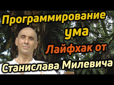 Видео: Оптимизация работы ума / Что и как воздействует на ум