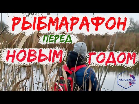 Видео: Рыб-марафон перед новым годом.