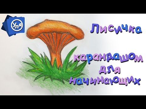 Видео: Рисунки карандашом поэтапно // Как нарисовать грибы Лисички