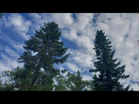 Видео: 380. Монашество и нарциссизм