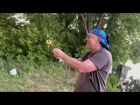 Видео: Одрынка дубль два. РЫБАЛКА