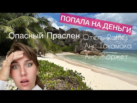 Видео: СЕЙШЕЛЬСКИЕ ОСТРОВА, ПРАСЛИН. ПЛЯЖ ДОРОГОГО ОТЕЛЯ ЧАСТЬ 4 #островпраслин  #сейшелы