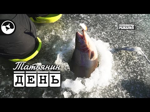 Видео: Приманки для ловли форели со льда | Татьянин день
