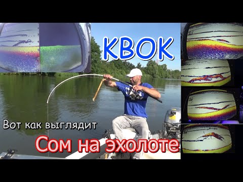 Видео: Рыбалка на квок. Ночные подъёмы сомов на эхолоте лоуранс. Lowrance Elite 9ti2