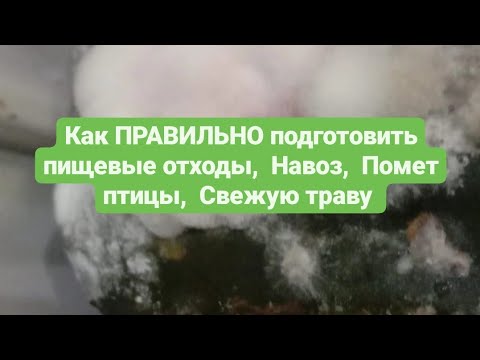 Видео: ЛУЧШЕЕ органическое удобрение Как подготовить