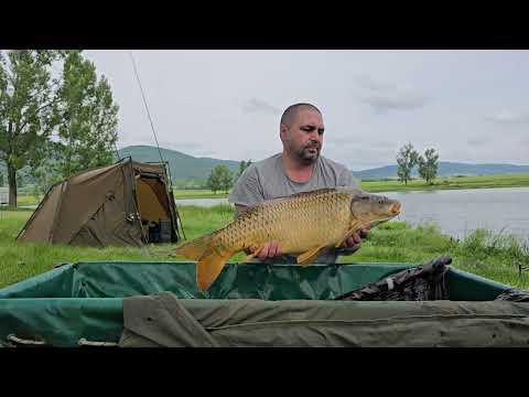 Видео: Madiks carp team   язовир Съединение
