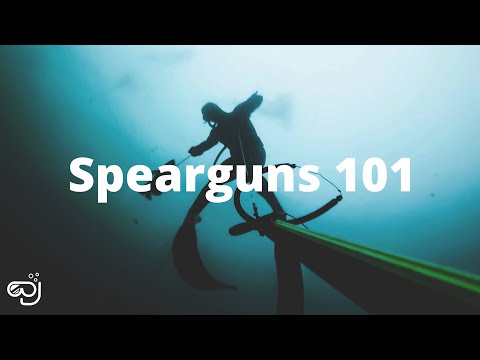 Видео: Подводные ружья 101