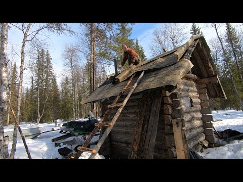 Видео: Планировал ремонт зимовья.Потерял собаку,влетел в наледь,сломал топор,сошел с гусеницы!Весна.