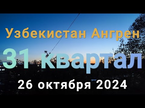 Видео: Узбекистан Ангрен и осень возле 33 школы 26 октября 2024 г.