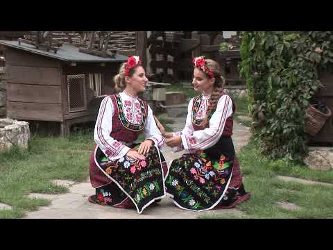 Видео: Стоян Физиев- Ганка е цвете садила