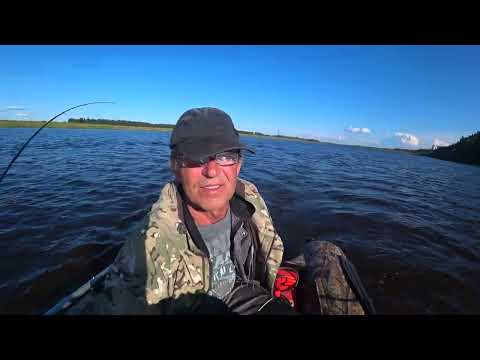 Видео: Троллинг на реке Вычегда. Ловим щуку и окуня.Фидер с якоря.