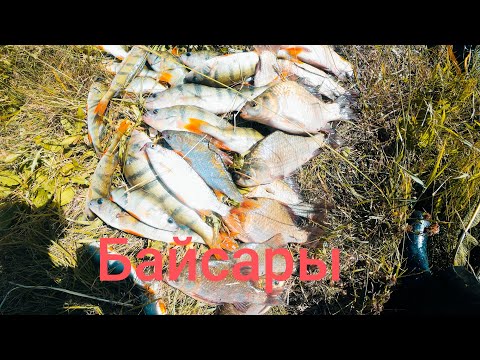 Видео: Полная жесть от этого озера!!! Приехал половить карася а тут такое!!!