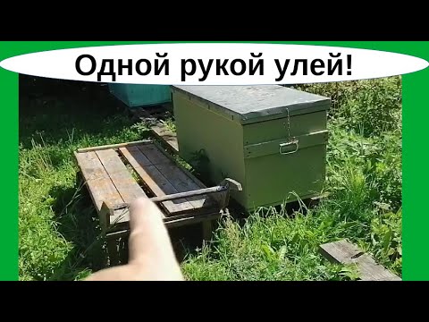 Видео: Перестановка одной рукой Владимирского улья-лежака в рамках пасеки и пересадка пчёл в другой