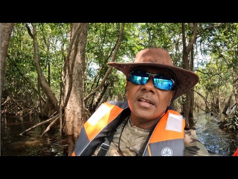 Видео: РЫБАЛКА В РОКСТОУНЕ, ГАЙАНА