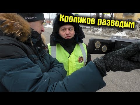 Видео: Старые разводилы взялись за старое / Кроликов разводим