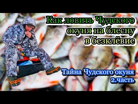 Видео: Тайна ловли Чудского окуня на блесну, в безклёвие. Делаем удочку для лёгких приманок.