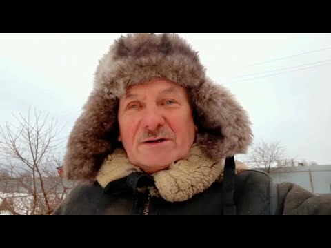 Видео: Идеальный улей без дна