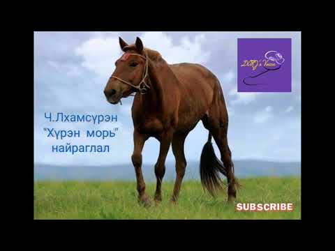 Видео: Ч.Лхамсүрэн "Хүрэн морь" найраглал