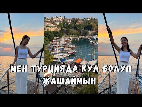 Видео: Мен Турцияда Кул Болуп Жашаймын