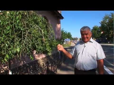 Видео: Видеофильм «Ароматные тайны Востока»