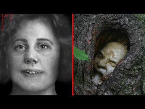 Видео: "Кто спрятал Беллу в горном вязе?". Загадочные истории о таинственных людях