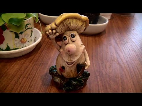 Видео: Мои любимые цветочки Обзор кактусов и суккулентов Сентябрь 2019