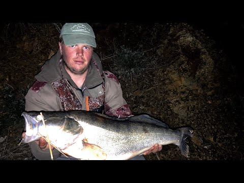 Видео: Два дня живу на острове среди моря! Огромный судак пойман! Рыбалка на водохранилище!