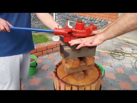 Видео: Домашнее виноделие. Пино Нуар 2017 г.