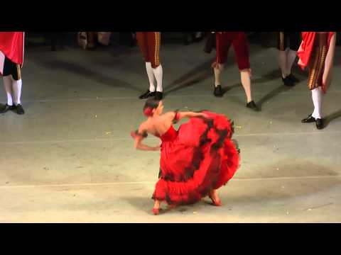 Видео: 3.11.13.Дон-Кихот. Ольга Белик-Евгений Иванченко.