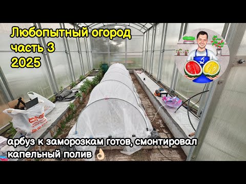 Видео: Любопытный огород часть 3 (2025)