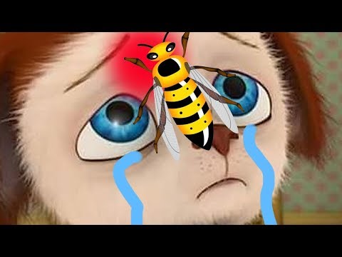 Видео: Малыша укусила пчела, малыш словил занозу. Барбоскины - сборник лучших серий.  Мультфильм для детей.