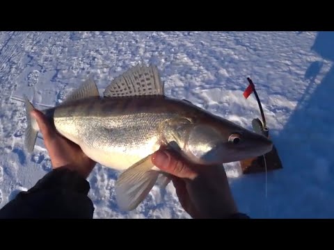 Видео: Рыбалка на водохранилище с комфортом .Ловлю рыбу готовлю еду .