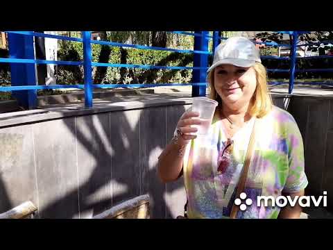 Видео: ТБИЛИСИ...ВОТ НЕ ДУМАЛА,ЧТО БУДУ,💓💓💓 КОГДА -НИБУДЬ💝💝💝ЗДЕСЬ😆😆😆😆😆😆😆😆😆😆😆