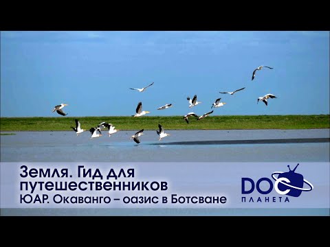Видео: Земля.Гид для путешественников.ЮАР - Фильм 3.ЮАР. Окаванго – оазис в Ботсване - Документальный фильм