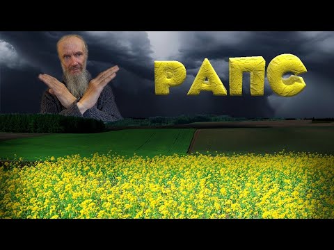Видео: РАПС - оружие массового поражения?