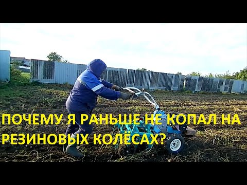 Видео: Мотоблок Нева плюс грохотная копалка. Копаю картошку