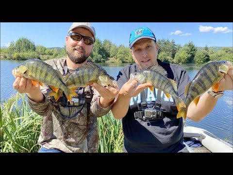 Видео: НОВ ЛИЧЕН РЕКОРД за КОСТУР! ЛАВРАК НА ФУРНА У ДОМА!