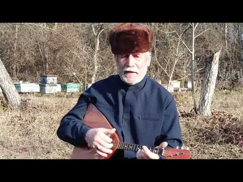 Видео: Схьакарий суна и хаза илли олуш верг))