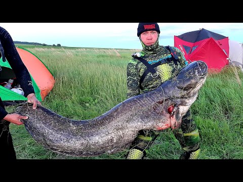 Видео: На Территории Сомов. Подводная Охота в Татарстане