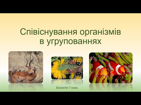 Видео: Біологія. Тварини. Співіснування організмів в угрупованнях