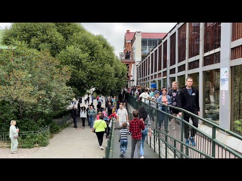 Видео: В зоопарке г.Екатеринбург