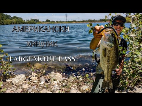 Видео: ХВАНАХ ТРОФЕЕН БАС! РИБОЛОВ на LARGEMOUTH BASS със СИЛИКОНОВИ ПРИМАМКИ