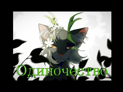 Видео: ЗАКАЗ Коты Воители: Одиночество [Слава]
