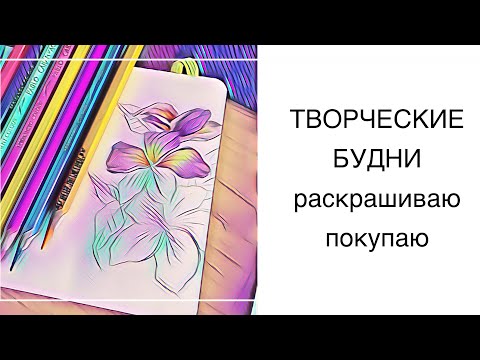 Видео: Творческие будни