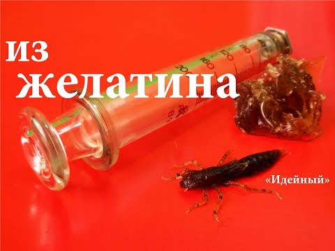 Видео: Самая уловистая приманка на окуня щуку судака самоделки для рыбалки