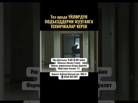 Видео: Работа в Бишкеке
